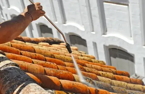 Nettoyage de toitures - Villeneuve-Saint-Germain